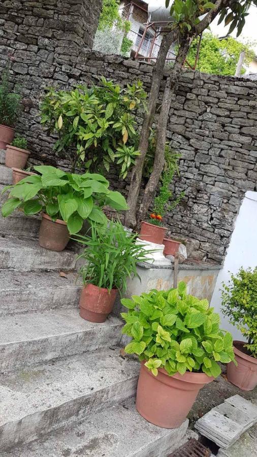 Riva Guest House Gjirokastër Exteriér fotografie